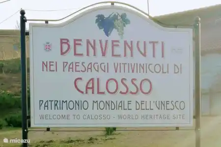 Calosso - Piedmont cuisine and wines!