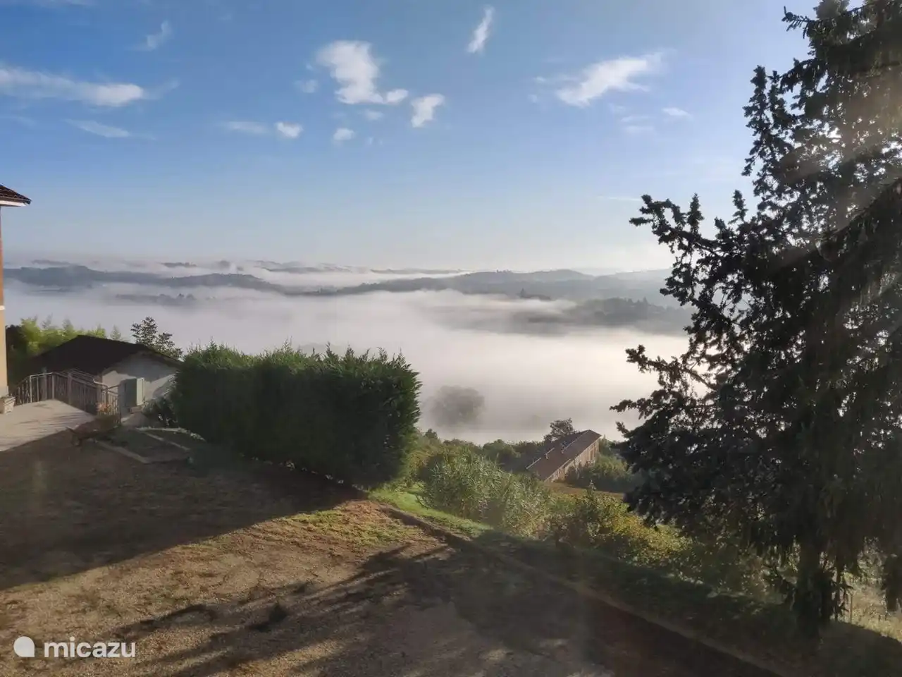 Brouillard matinal à Cascina Luisa.