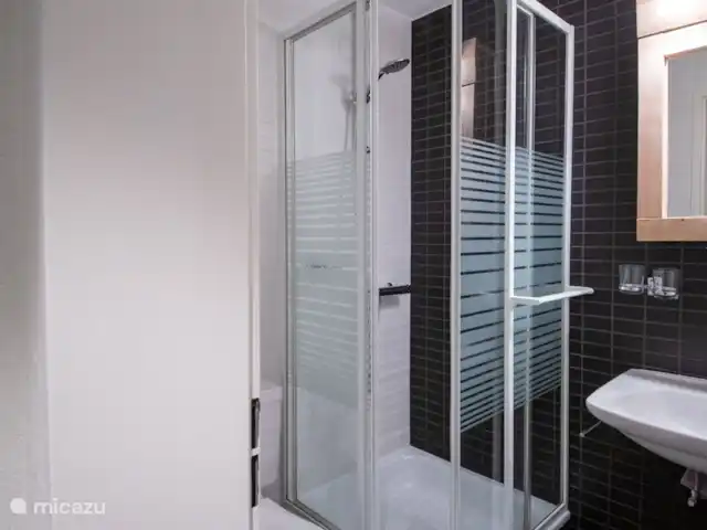 Location de Vacances Suisse, Valais, Fiesch, appartement - Romantika Douche/toilette et lavabo
