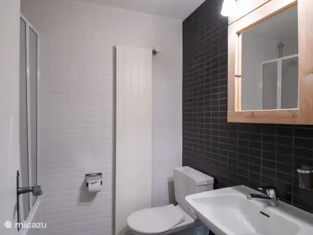 Location de Vacances Suisse, Valais, Fiesch, appartement - Romantika Baignoire / WC et lavabo