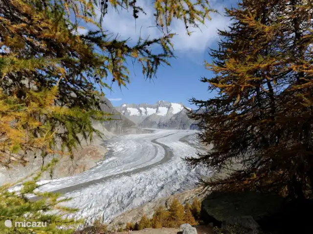 Location de Vacances Suisse, Valais, Fiesch, appartement - Romantika Glacier d'Aletsch