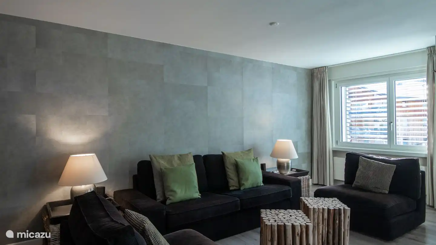 Séjour avec coin salon, chaîne stéréo avec CD/DVD, TV, radio et WiFi et coin bureau.