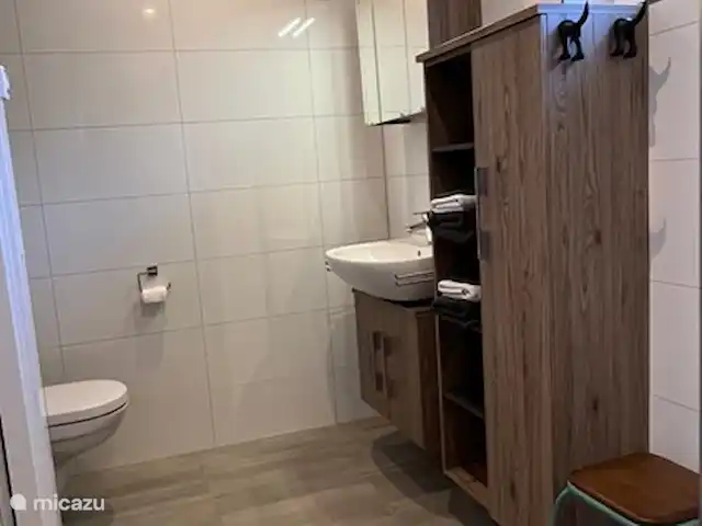 Dans le Doap | Pays-Bas, Overijssel, Denekamp - appartement Salle de bain spacieuse avec toilettes