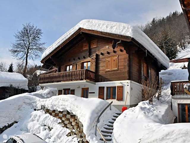 Wintersport, Zwitserland, Wallis, Fiesch, appartement Stachelbeere EG