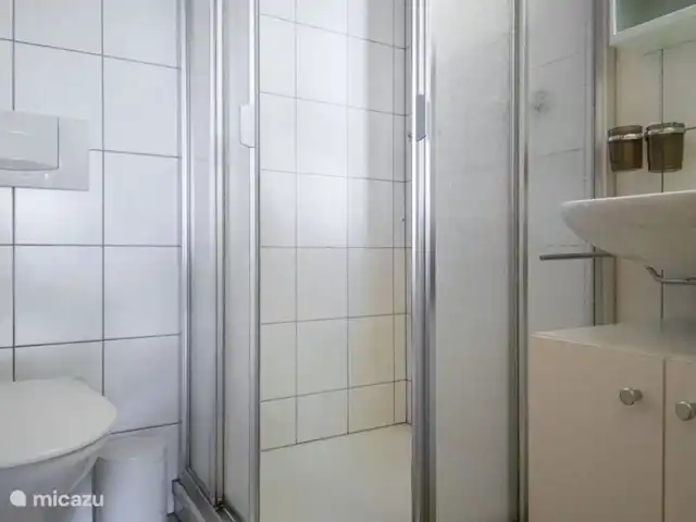 Location de Vacances Suisse, Valais, Fiesch, appartement - Stachelbeere EG Salle de bain de luxe avec lavabo, toilettes et douche