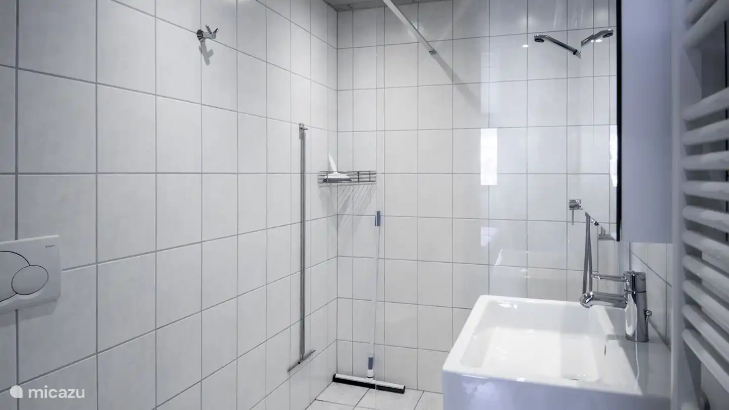 Salle de bain de luxe avec lavabo, toilettes et douche