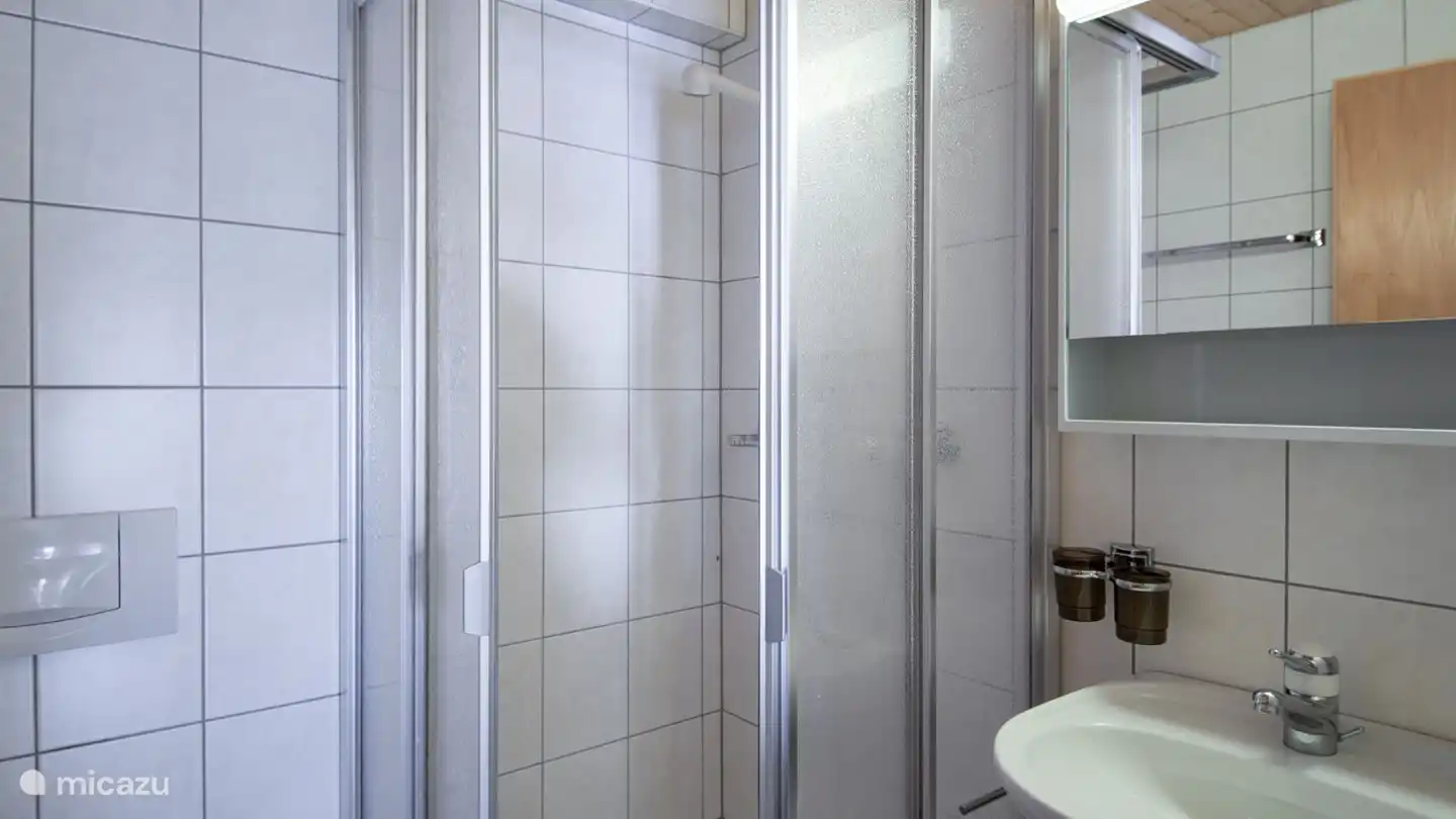 Salle de bain de luxe avec lavabo, toilettes et douche