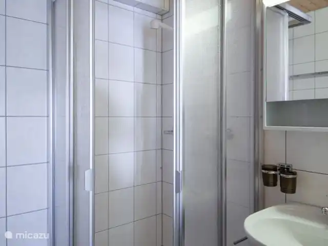 Location de Vacances Suisse, Valais, Fiesch, appartement - Stachelbeere EG Salle de bain de luxe avec lavabo, toilettes et douche