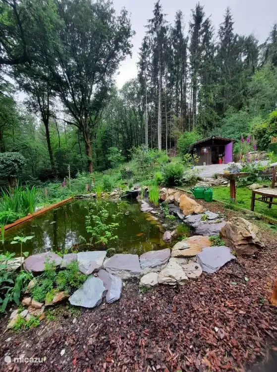 Genießen Sie den Teich voller Fische und das plätschernde Rauschen des Wassers