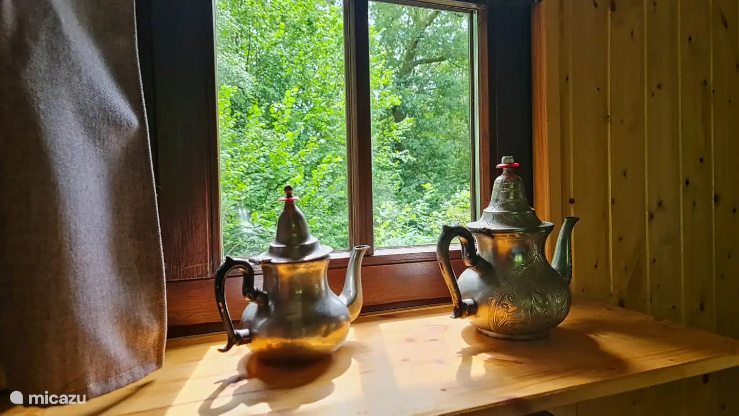 Überall Ausblicke in den Wald