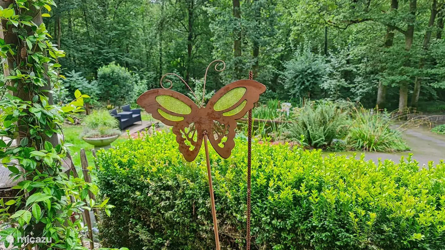 Entdecken Sie die vielen unterhaltsamen Aussichten