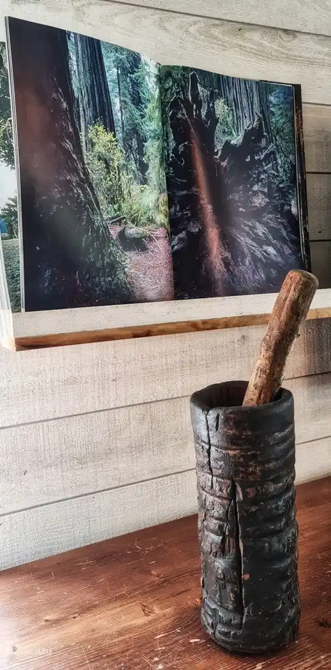 Entdecken Sie die schönen Details