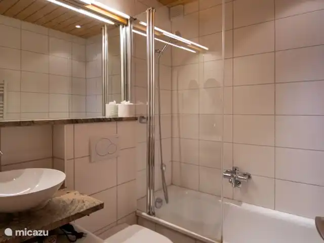 Stachelbeere OG | Suisse, Valais, Fiesch - appartement 1 luxueuse salle de bain avec lavabo, toilette et bain/douche.