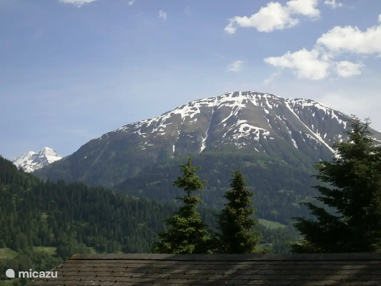 Aussicht Sommer Stachelbeere