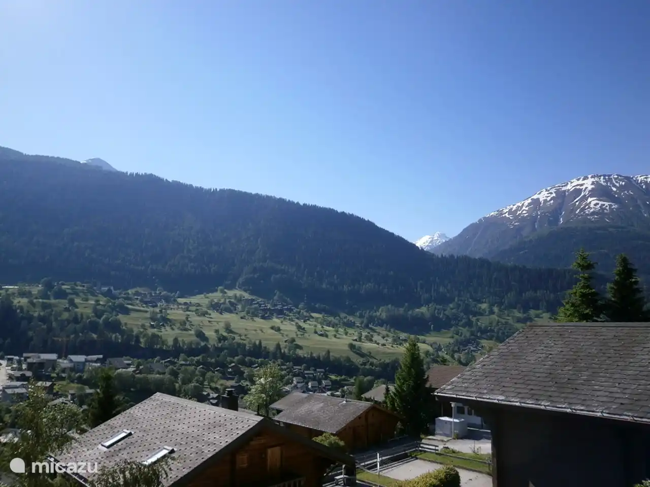 Aussicht Sommer Stachelbeere