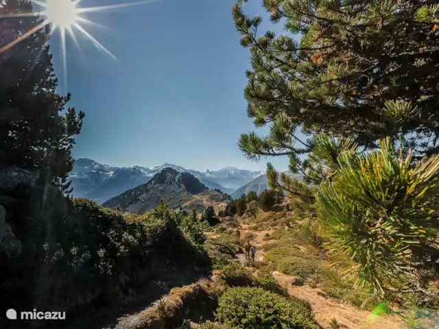 Wasserhügeli en Suiza, Valais, Fiesch - apartamento Bosque de Aletsch