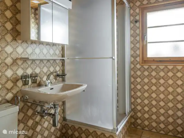 Wasserhügeli en Suiza, Valais, Fiesch - apartamento 1 cuarto de baño con lavabo, inodoro y ducha