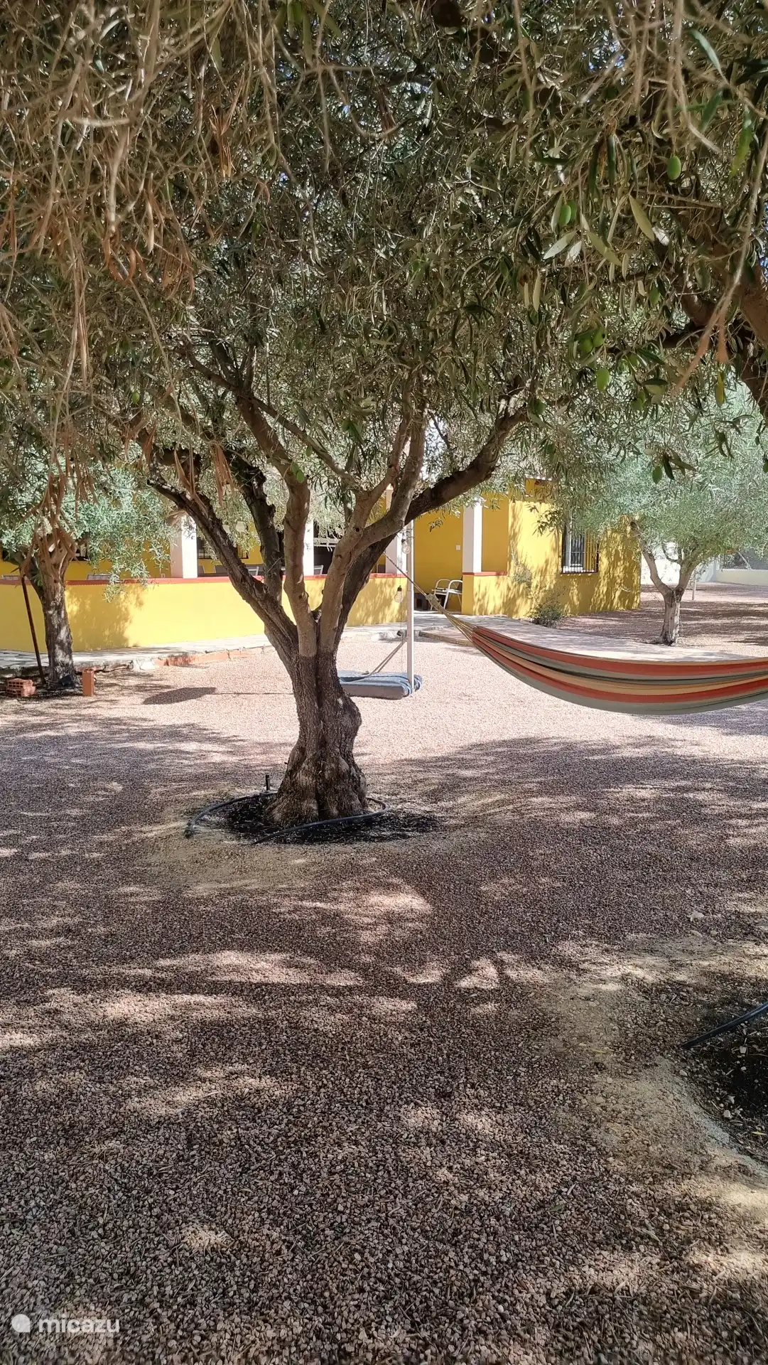 Relájate en una hamaca