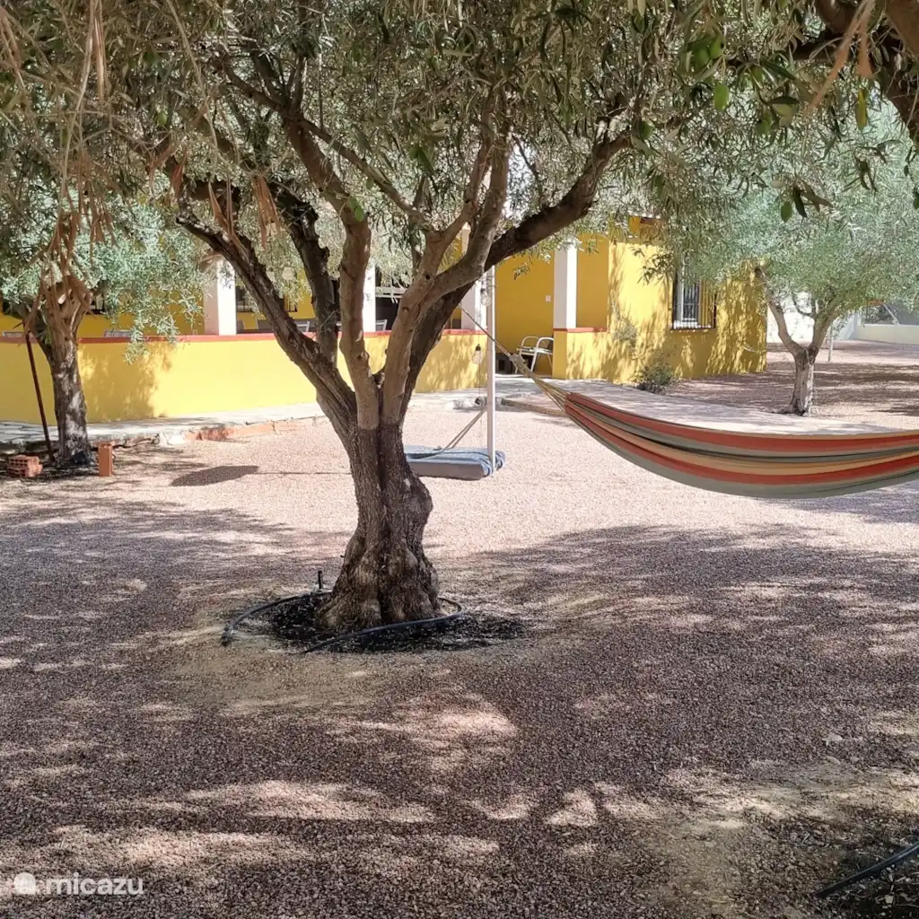Finca La Paz in Aspe
