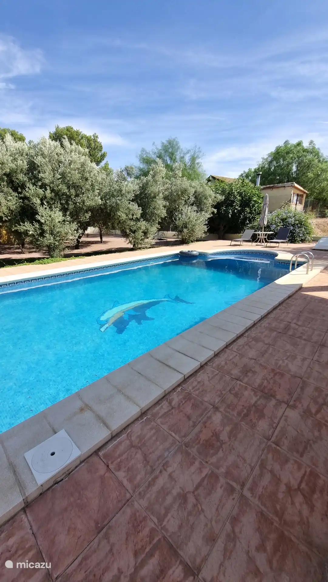 Piscina grande y bonita, de 15 por 5