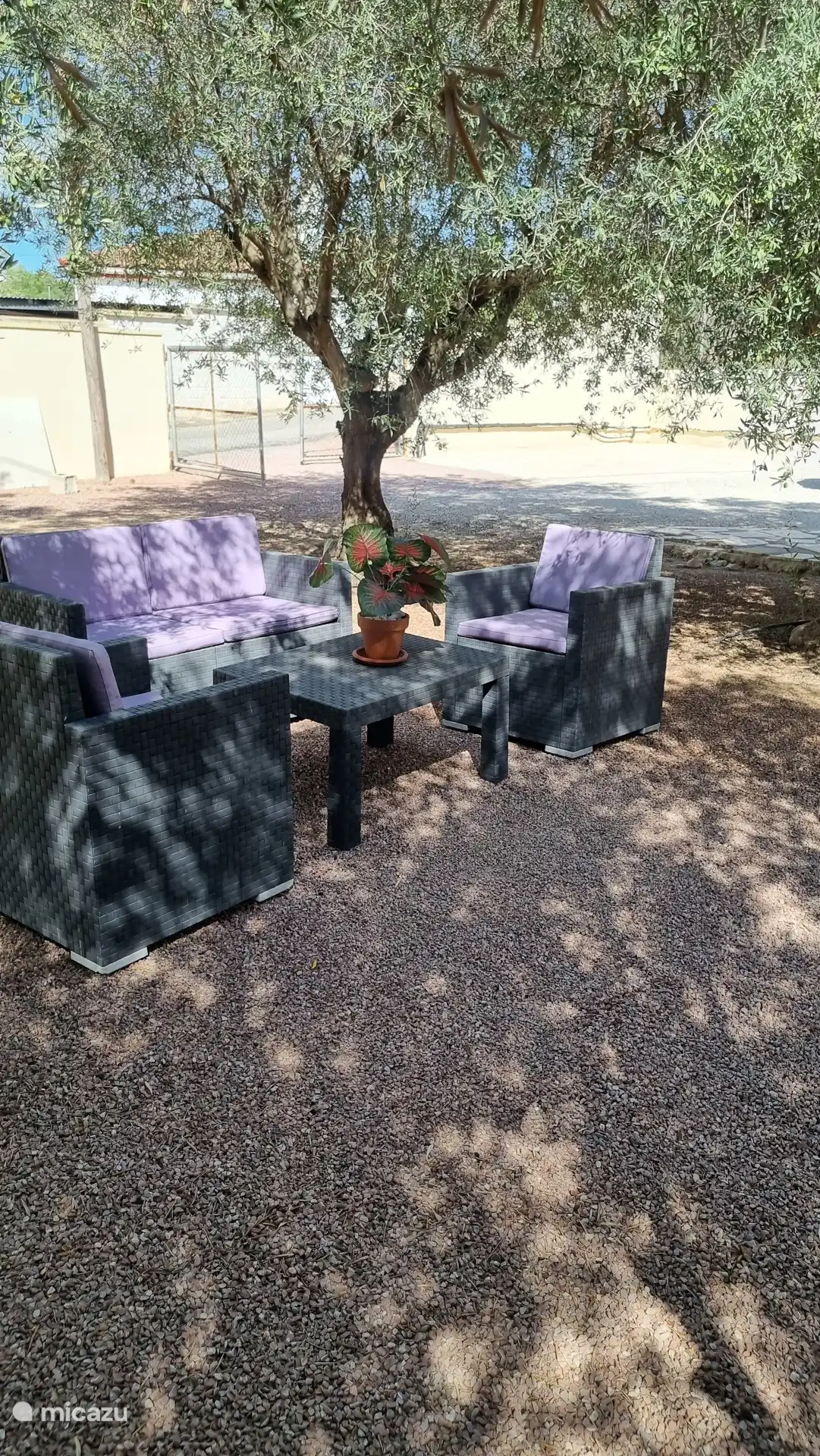 Zona de asientos bajo los olivos de la propiedad