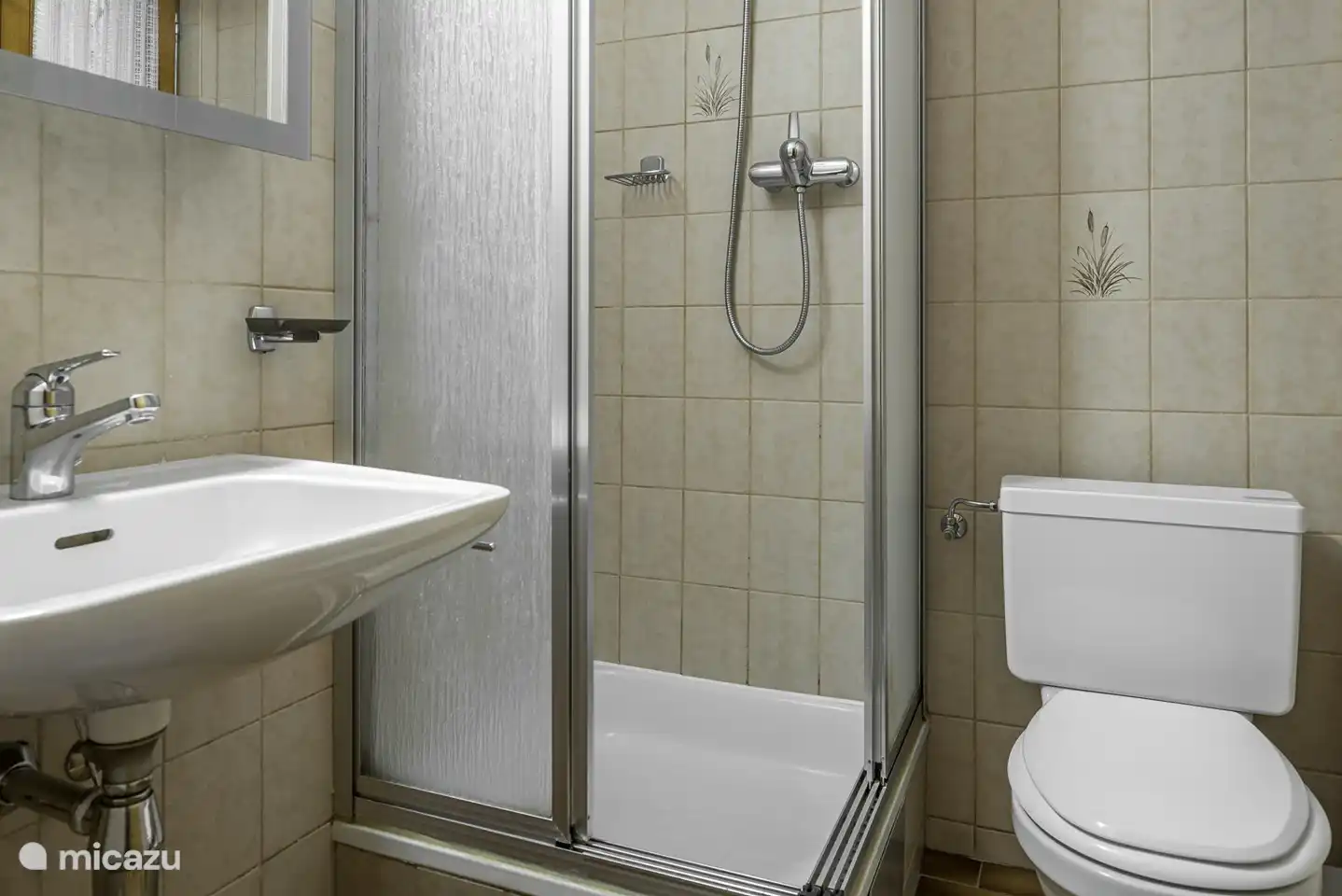 Badkamer 1x douche met wastafel en toilet
