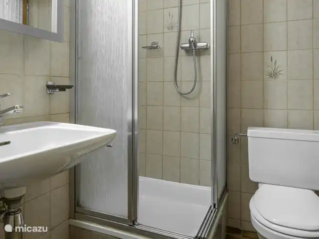 Trimka | Suisse, Valais, Fiesch - appartement Salle de bain 1x douche avec lavabo et toilette