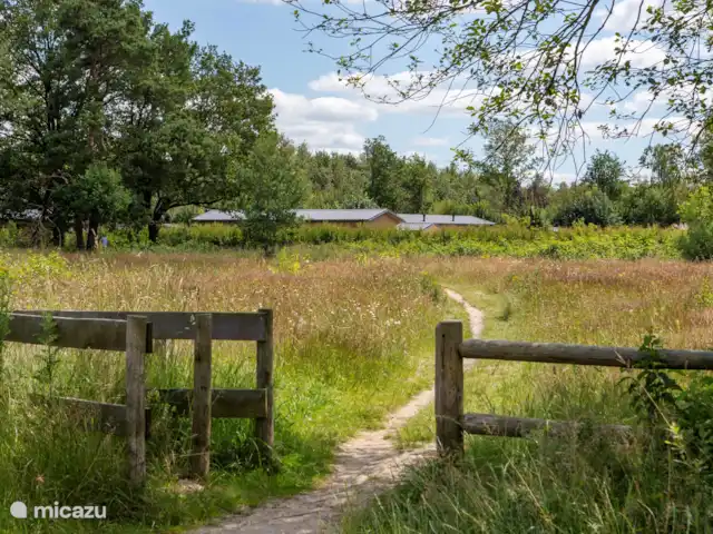 Location de Vacances Pays-Bas, Drenthe, Havelte, chalet - Chalet Mulligan Accès depuis Holtingerveld