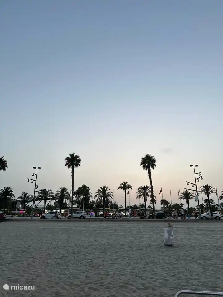 Strand von La Pineda