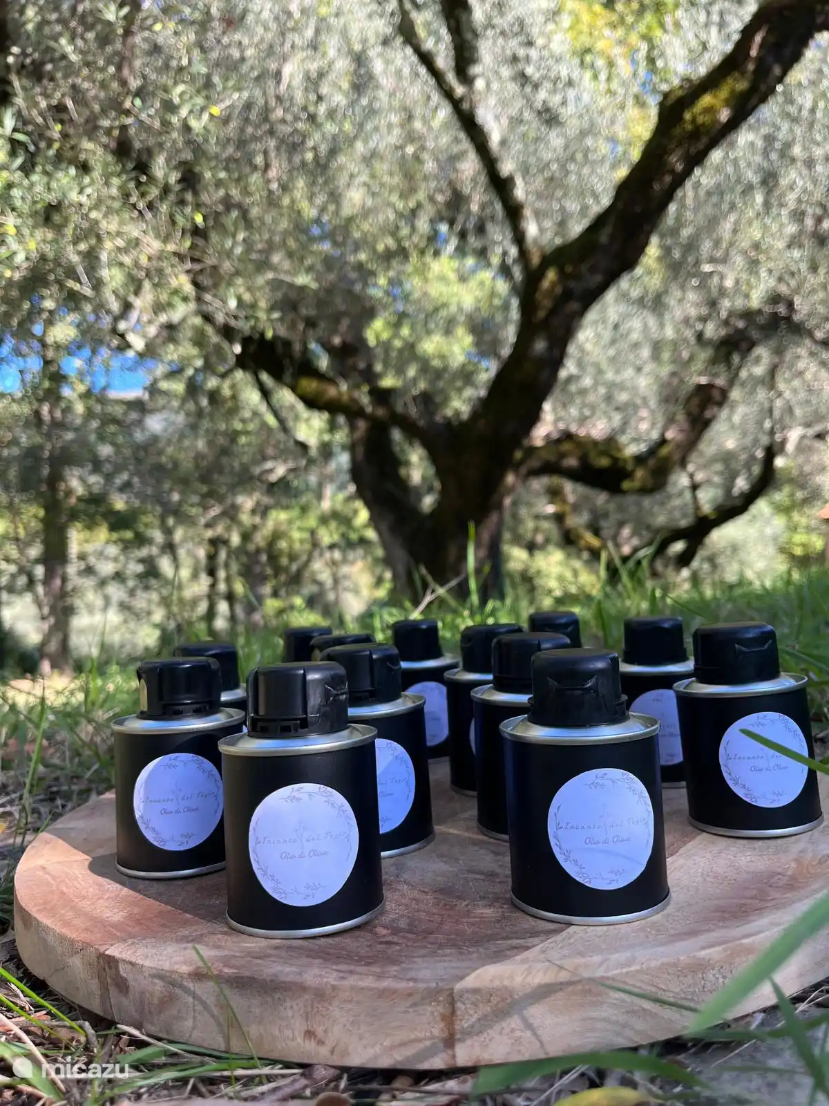 Propre huile d’olive du jardin