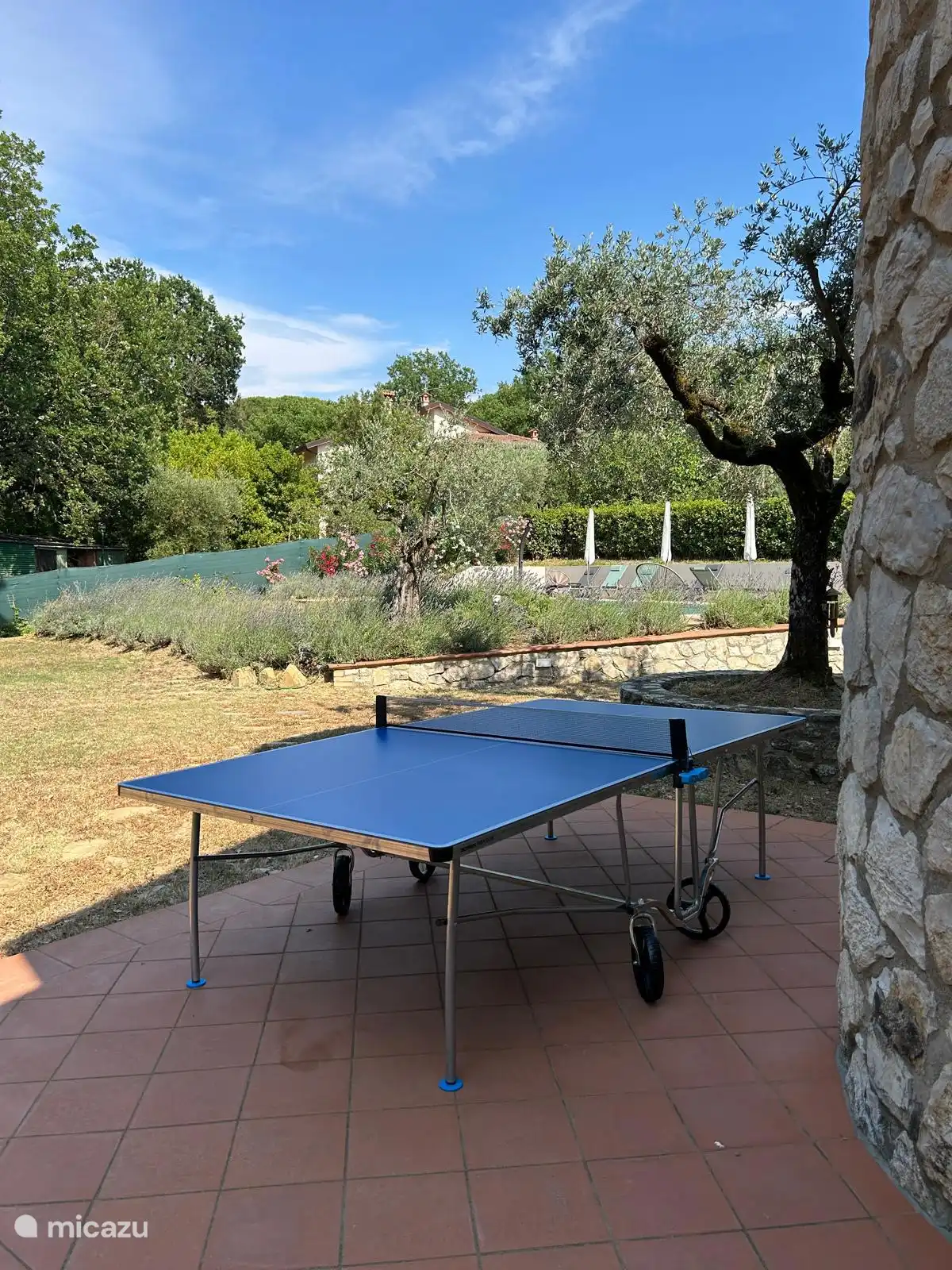 Tennis de table pour les passionnés