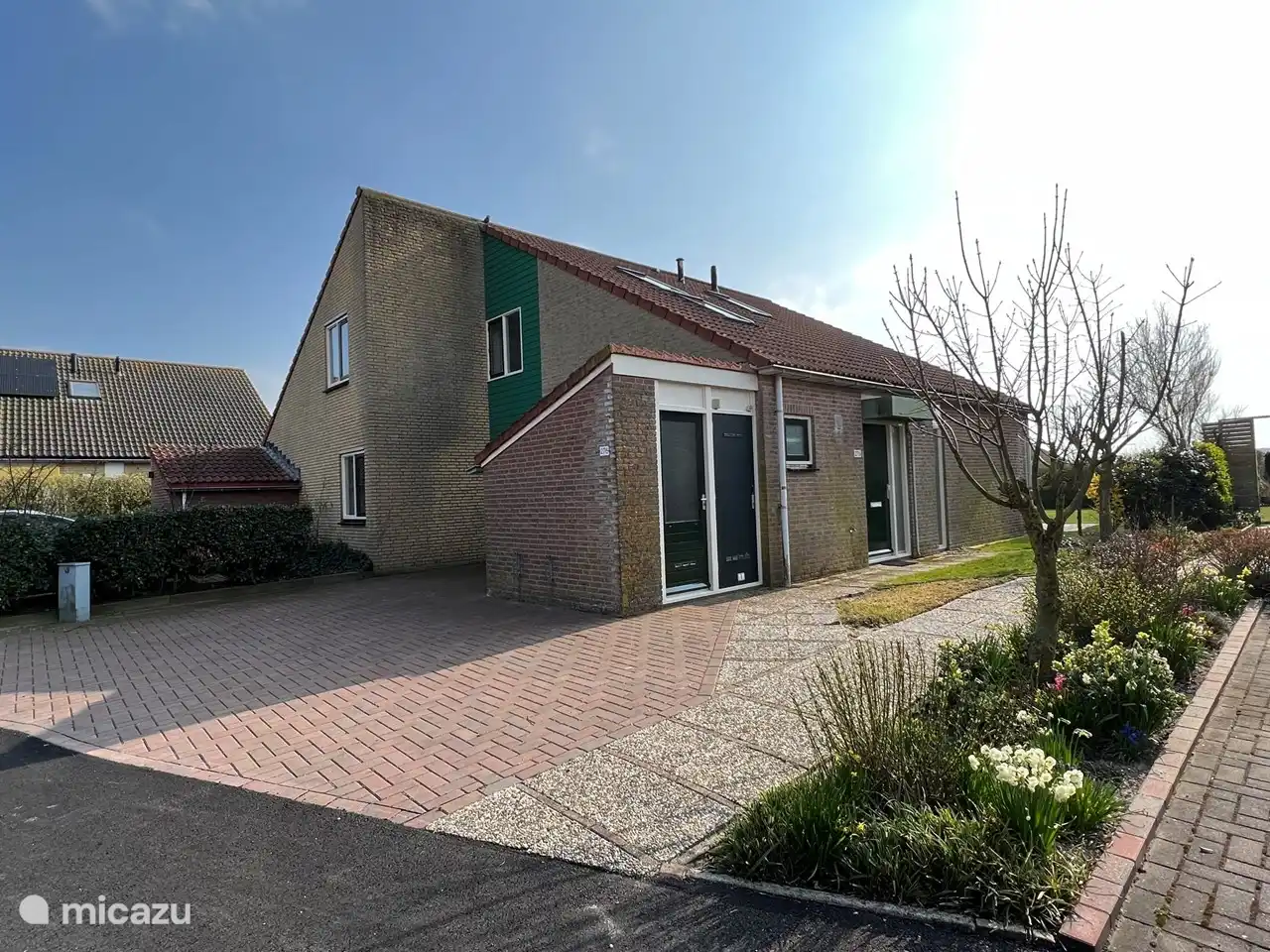 Seitenansicht salzige Kuts