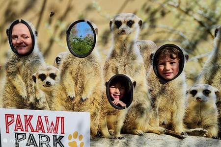 Pakawi-Zoo
