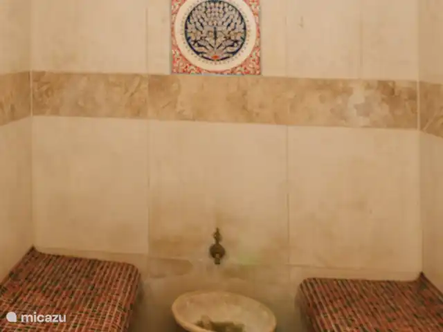 Authentique maison de vacances Parkhoeve | Belgique, Limbourg, Beringen - maison de vacances Hammam
