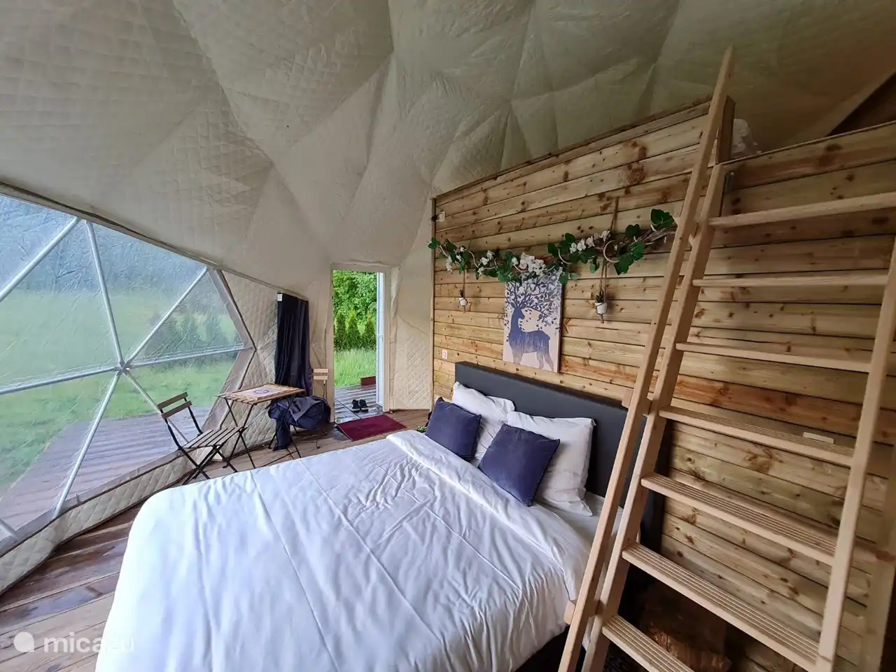 carpa glamping