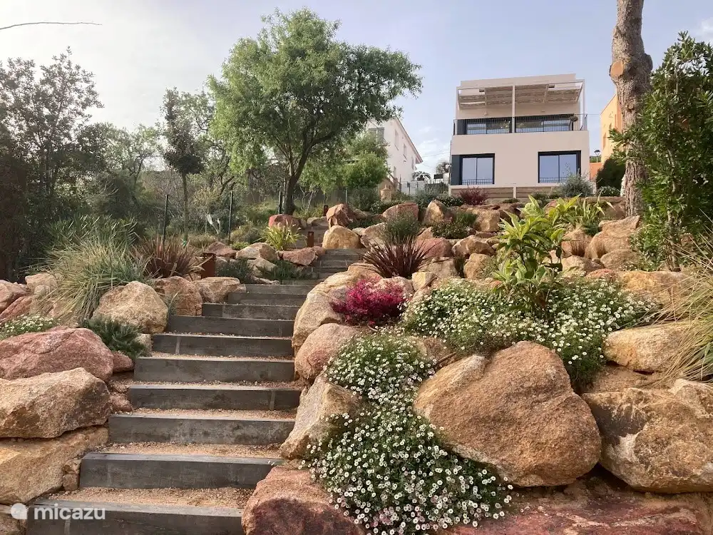 The beautiful newly landscaped garden that becomes more beautiful every day...