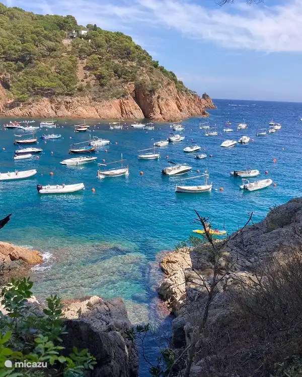 Rent your boat and explore the countless bays.