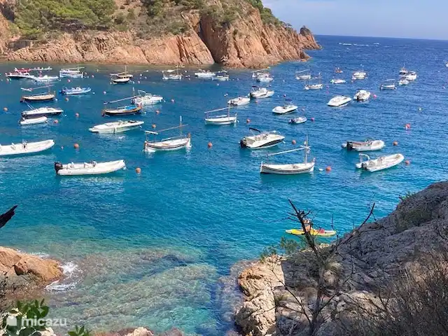 Casa la Vinya appartement Muntanya | Espagne, Costa Brava, Sant Feliu de Guíxols - appartement Louez votre bateau et explorez les innombrables baies.