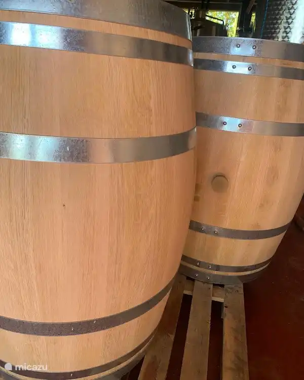 Visit a beautiful winery on the Baix Emporda!