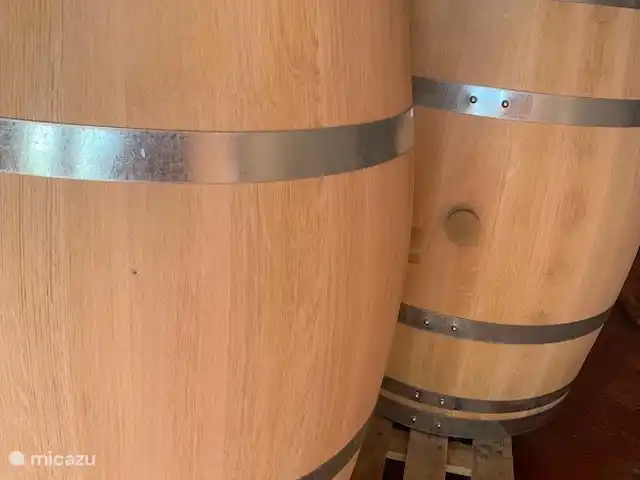 Casa la Vinya appartement Muntanya | Espagne, Costa Brava, Sant Feliu de Guíxols - appartement Visitez une belle cave du Baix Empordà !