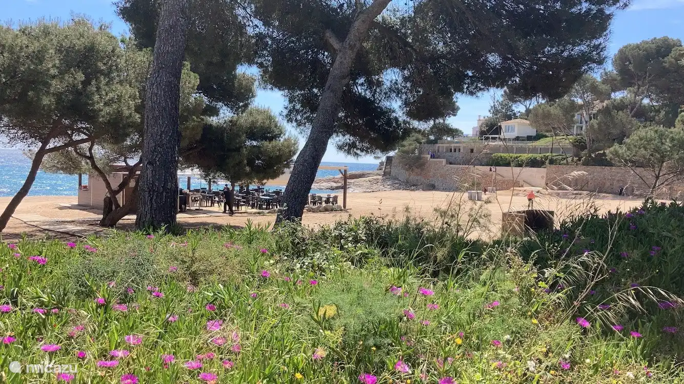 Sa Conca with tasty food and drink options.