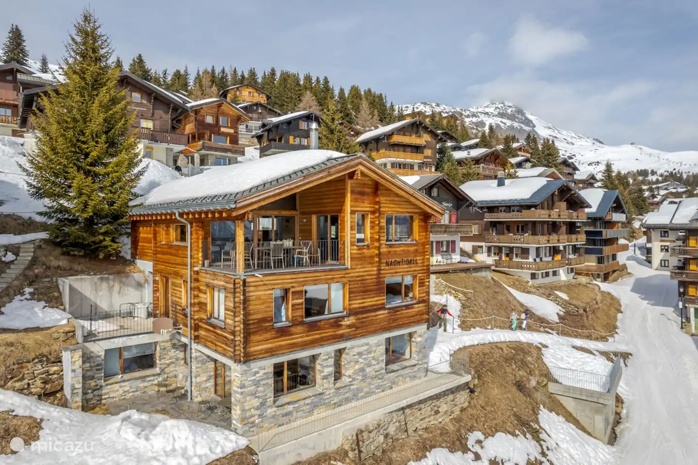 Nachtigall Parterre in Schweiz, Wallis, Bettmeralp - appartement
