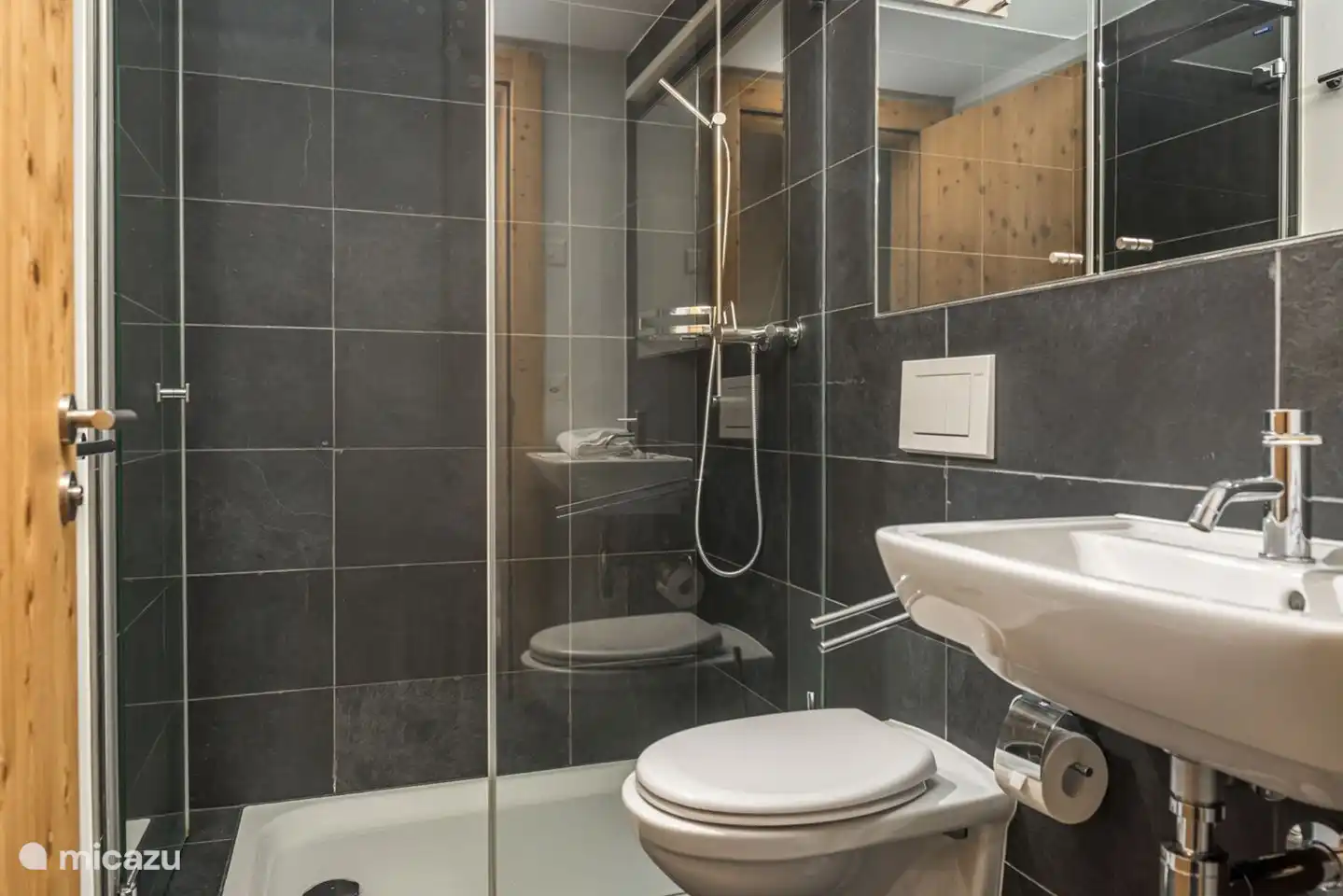  1 Badezimmer mit Dusche/WC/Lavabo