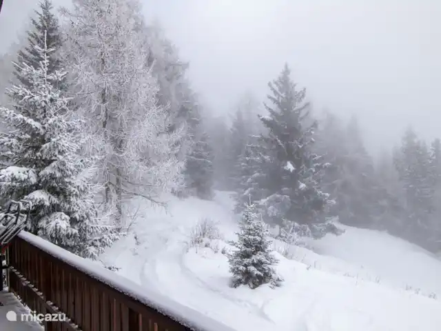Location de Vacances Suisse, Valais, Bettmeralp, appartement - Toggi EG Vue d'hiver de Toggi
