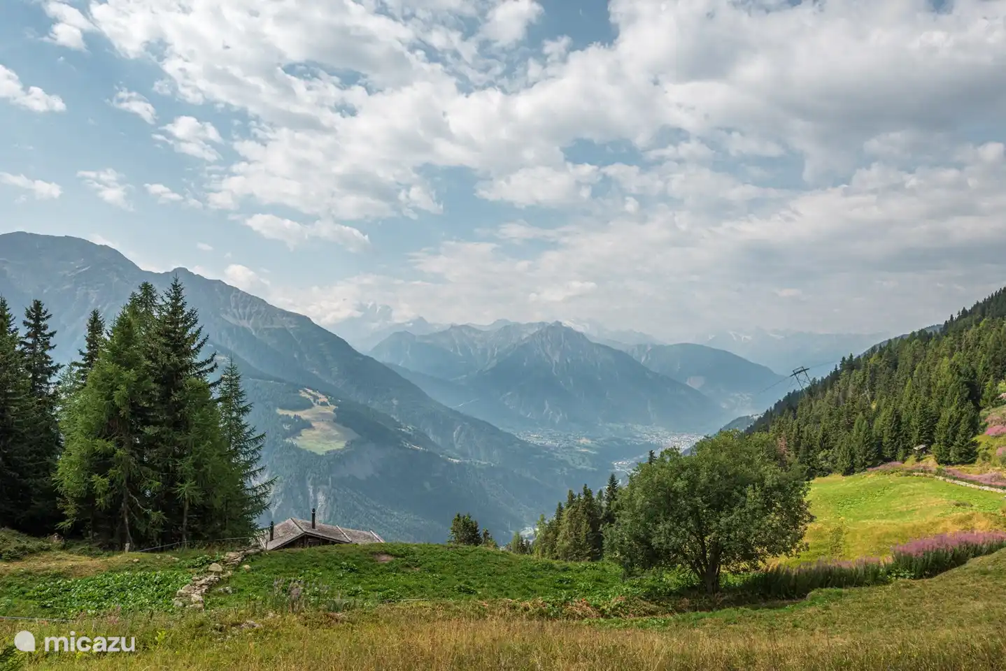Vue d'été de Toggi