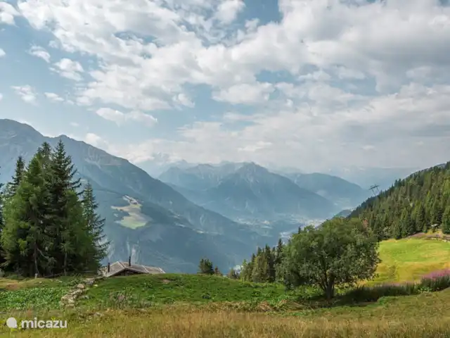 Location de Vacances Suisse, Valais, Bettmeralp, appartement - Toggi EG Vue d'été de Toggi