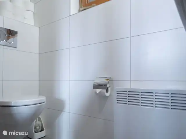 Location de Vacances Suisse, Valais, Bettmeralp, appartement - Toggi EG La salle de bain est équipée d'une douche, de toilettes et d'un lavabo.
