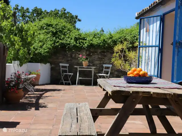 vakantiehuis huren in Spanje, Andalusië, Ronda – Casa 99