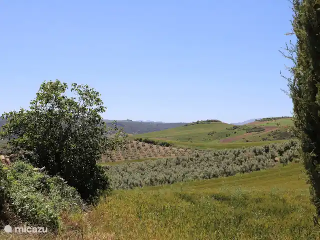 vakantiehuis huren in Spanje, Andalusië, Ronda – Casa 99
