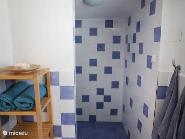 vakantiehuis huren in Spanje, Andalusië, Ronda – Casa 99